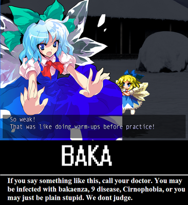 Baka by Bowserslave
Hmm.... that does seem a bit redundant there, Cirno...
