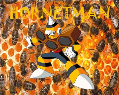 Hornet Man by Henry
Hyrrgh.....  There's something about that sort of thing that just makes me feel edgy.  The hive levels in Donkey Kong Country 2 did the same thing to me.
