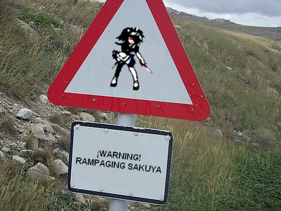 Warning, Maid Ahead by GandWatch
A rampaging Sakuya is not something you want to be in the way of!  Trust me, I've been there! o.o;
