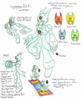 Filename=CrystalMan_EXE_-_Raiden.png
Filesize=358KiB
Dimensions=1249x1514
Date added=Feb 07, 2010 CrystalMan_EXE_-_Raiden.png