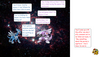 Filename=Dialga_and_Palkia_are_angry_-_Bowserslave.PNG
Filesize=638KiB
Dimensions=1000x570
Date added=Aug 21, 2010 Dialga_and_Palkia_are_angry_-_Bowserslave.PNG