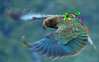 Filename=KEA_-_ioddandodd.png
Filesize=226KiB
Dimensions=448x279
Date added=Oct 09, 2010 KEA_-_ioddandodd.png