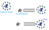 Filename=Oshawott_Shield_-_TPPR10.png
Filesize=30KiB
Dimensions=942x574
Date added=Dec 04, 2010 Oshawott_Shield_-_TPPR10.png