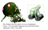 Filename=Pikmin_nightmares_-_levelmaster2.png
Filesize=371KiB
Dimensions=1074x683
Date added=Aug 19, 2012 Pikmin_nightmares_-_levelmaster2.png