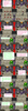 Filename=Quick_Men_Pillage_Part_5_-_Bowserslave.PNG
Filesize=279KiB
Dimensions=500x1914
Date added=Aug 07, 2010 Quick_Men_Pillage_Part_5_-_Bowserslave.PNG