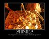 Filename=Shinies_-_Q_Ball_Quackenstein.jpg
Filesize=120KiB
Dimensions=750x600
Date added=Sep 03, 2011 Shinies_-_Q_Ball_Quackenstein.jpg