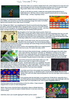 Filename=Style_Change_Video_Diary_-_Jon_Causith.png
Filesize=778KiB
Dimensions=954x1368
Date added=Sep 10, 2011 Style_Change_Video_Diary_-_Jon_Causith.png