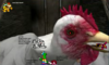 Filename=chican_o_death_-_ioddandodd.png
Filesize=677KiB
Dimensions=1157x695
Date added=Aug 21, 2010 chican_o_death_-_ioddandodd.png