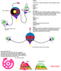 Filename=digitman_-_GandWatch.png
Filesize=56KiB
Dimensions=963x1117
Date added=Aug 07, 2010 digitman_-_GandWatch.png