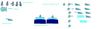 Filename=iceburgmanspritesheet_-_thesonicgalaxy.jpg
Filesize=40KiB
Dimensions=948x280
Date added=Sep 25, 2010 iceburgmanspritesheet_-_thesonicgalaxy.jpg
