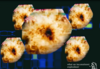 Filename=the_ferquintly_used_exploshen_does_not_like_-_ioddandodd.png
Filesize=876KiB
Dimensions=1263x875
Date added=Sep 20, 2010 the_ferquintly_used_exploshen_does_not_like_-_ioddandodd.png