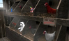 Filename=the_home_of_me_and_my_editers_-_ioddandodd.png
Filesize=833KiB
Dimensions=934x564
Date added=Sep 20, 2010 the_home_of_me_and_my_editers_-_ioddandodd.png